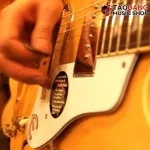 [Bangkok & metropolitan area sends Grab immediately] [USA 100%authentic] Picking guitar Jim Dunlop Tortex Pitch Black Standard 488R - Pickle in all sizes [Red turtle guaranteed] - Turtle