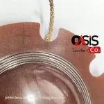 1 piece/delivery every day Voice speakers Voice speakers, DC-100A, Pakhox Horn Voice Horn P.AUDIO PA-D110, Driver Horn