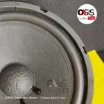 1 flower flower, 10-inch speaker, 2 layers of magnets, kane ka-200, 200 watts, ka-200, 10-inch speaker, lining