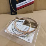 GIBSON Guitar Coating No. 10, Acoustic Guitar Strings Coated PHOTED PhOSPHOR BRONZE 10-47