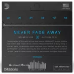 XT Acoustic 80/20 Bronze 12-53 Genuine Guitar coating, Xtabbr1253, airy guitar Rustproof coating D'Addario