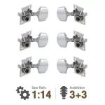 New version DER JUNG DJ225-M9, 114 gear, guitar knob, bare guitar knob Guitar knob 3+3