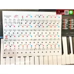 1 sheet, piano sticker, keyboard sticker, Key 37 key 49 Key 54 Key 61 Key 88 Clear Sticker Sticker Sticker ...