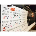 1 sheet, piano sticker, keyboard sticker, Key 37 key 49 Key 54 Key 61 Key 88 Clear Sticker Sticker Sticker ...
