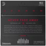 D'Addario® XTAPB1356 สายกีตาร์โปร่ง เบอร์ 13 สายเคลือบ แบบ Phosphor Bronze ซีรีย์ XT ของแท้ 100% Medium, 13 - 56 ** M