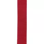 D'Addario® PWSAL401 Auto Lock Polypro Guitar Strap สายสะพายกีตาร์ ระบบล็อคหัวหมุดอัตโนมัติ กว้าง 2 นิ้ว สำหรับกีตาร์โปร