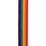 D'Addario® PWSAL411 Auto Lock Polypro Guitar Strap Guitar Strap 2 inch automatic pin lock system for professional guitar