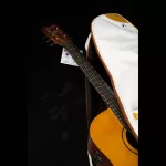 Kazuki Trendy Guitar Gig Bag, 41 inch acoustic guitar bag, leather edge, handle, sash, storage compartment Buffon like