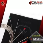 [USA 100% authentic] [5% discount when buying 3 sets] [1 set 6 lines] D'Adario EXL110 + NYXL1046 Ultra Pack - Red Turtle