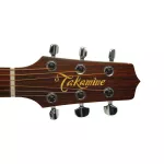 D'Addario® PWAT-331L Guitar knob, guitar knob has a mechanism to cut the excess silver strap + free, free screw and Auto-Trim Lo.