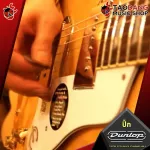 [กทม.&ปริมณฑล ส่งGrabด่วน] [USAแท้100%] [ยิ่งซื้อยิ่งลด] ปิ๊กกีต้าร์  Jim Dunlop Tortex Pitch Black Standard 488R [เต่าแดงการันตี] - เต่าแดง