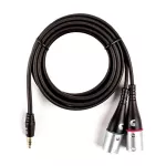 D’Addario® Planet Waves PW-MPXLR-06 AUX Jack Strap from 3.5 mm to XLR 2, 6-foot long head for mobile phones with the system.
