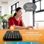 EVOSS, wind cushion, healthy seat General chair Car seats and wheelchair