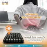 EVOSS, wind cushion, healthy seat General chair Car seats and wheelchair