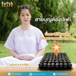 EVOSS, wind cushion, healthy seat General chair Car seats and wheelchair