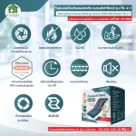 18 wavy air mattress with Motor Model FB-411