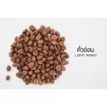 100% Arabica roasted coffee beans [Size L 500G]
