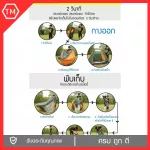 1-door trekking tent, 1-2 people