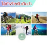 มาใหม่ ไม้เท้าเดินป่า อลูมิเนียมไ ม้เท้าวิ่งเทรล  ปรับความสูงได้ 50-113 ซม.ไม้เท้าปีนเขา Aluminium Trekking Pole Stick