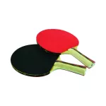 Viva Table Tennis 2 Star