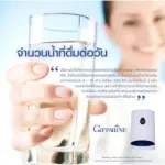 Compact filter filter alkaline Giffarine Giffarine Alkaline Compact Filter