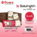 FUJIKA เครื่องกรองน้ำใช้  รุ่น FP-3PCR 3 ขั้นตอน เครื่องกรองน้ำ ฟูจิก้า