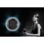 Haier, wine freezer, capacity 360 liters, JC-360 Black 360 liters, Wine Cellar