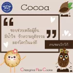 OTOP Select Rice, Cocoa, Almond Cocoa, Lamlana Shop