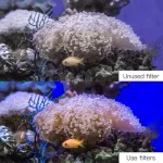 PULUZ Diving Lens Red Filters ฟิลเตอร์แดง สำหรับ OSMO ACTION