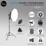 High power LED Nanlite Forza 60 with Octa Softbox 80 cm.