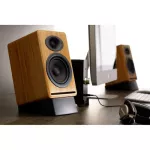 ขารองลำโพง Audioengine DS2 Desktop Stands for Audioengine A5, A5+, P4 and Larger desktop (1คู่)