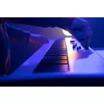 Arturia Keylab Essential 88 USB MIDI keyboard, 88 key, sensitive 1 year zero warranty