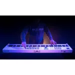 Arturia Keylab Essential 88 USB MIDI keyboard, 88 key, sensitive 1 year zero warranty