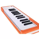 Arturia Microlab, a dumb keyboard that doesn't have a built -in speaker. But can be used in conjunction with Android devices or Apple iPads, zero insurance