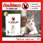 Chase the cat, chase the cat Cat chase, cats can be used for 60 days, excellent quality