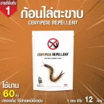 Chase the centipede, chase the centipede, protect the centipede, use 60 days, excellent quality, 12 pieces