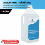 Air spray Modern Fresh 3.8 liters