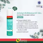 Eucalyptus oil spray mixed with Mint Bossito, 75ml glass spray.