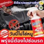 500ml rat spray, plant extract, chase lizard, geckos, spray in the bathroom Spray Chase the rat in the car
