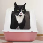 เอชจี สเปรย์ดับกลิ่นเหม็นกระบะทรายแมว ขนาด 500 ml.