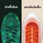 Xiaomi Youpin Sothing quick dry shoe dryer เครื่องเป่ารองเท้าลดความชื้นกำจัดกลิ่น กำจัดกลิ่นรองเท้า ฆ่าเชื้อรองเท้า