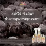 มังกี้โพนี่ สเปรย์กำจัดไรฝุ่น ป้องกันไรฝุ่น กำจัดกลิ่นไม่พึงประสงค์ กลิ่นฉี่ 60ml / 250 ml