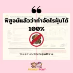 มังกี้โพนี่ สเปรย์กำจัดไรฝุ่น ป้องกันไรฝุ่น กำจัดกลิ่นไม่พึงประสงค์ กลิ่นฉี่ 60ml / 250 ml