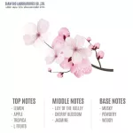 Siam Aroma น้ำหอมปรับอากาศพรีเมี่ยมก้านไม้ กลิ่น Sakura ขนาด 100 ml.