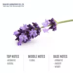 Siam Aroma, premium air -conditioned perfume, scent of Lavener scent, size 100 ml.