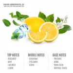 Siam Aroma น้ำหอมปรับอากาศพรีเมี่ยมก้านไม้ กลิ่น Fresh Ozone ขนาด 100 ml.