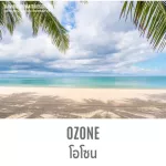 Siam Aroma น้ำหอมปรับอากาศพรีเมี่ยมก้านไม้ กลิ่น Fresh Ozone ขนาด 100 ml.