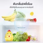 ที่ดูดกลิ่นในตู้เย็น ที่ดูดกลิ่นอับ ที่ดูดกลิ่นในรถ ลูกไก่ดูดกลิ่น ที่ดูดกลิ่น ที่ดูดกลิ่นเอนกประสงค์ดีไซน์น่ารัก