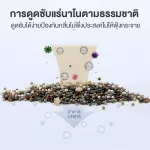 ที่ดูดกลิ่นในตู้เย็น ที่ดูดกลิ่นอับ ที่ดูดกลิ่นในรถ ลูกไก่ดูดกลิ่น ที่ดูดกลิ่น ที่ดูดกลิ่นเอนกประสงค์ดีไซน์น่ารัก