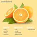 100% authentic perfume Fragrance oil, high concentration, orange odor, size 30 ml, 60 ml, 100 ml